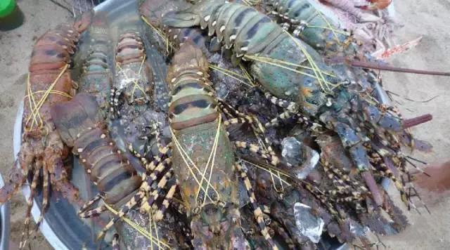 柬埔寨水果海鲜,柬埔寨超市特产必带清单