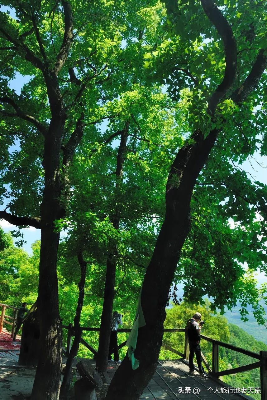 中国最适合自驾游的十条绝美公路,中国最顶级的自驾进藏公路