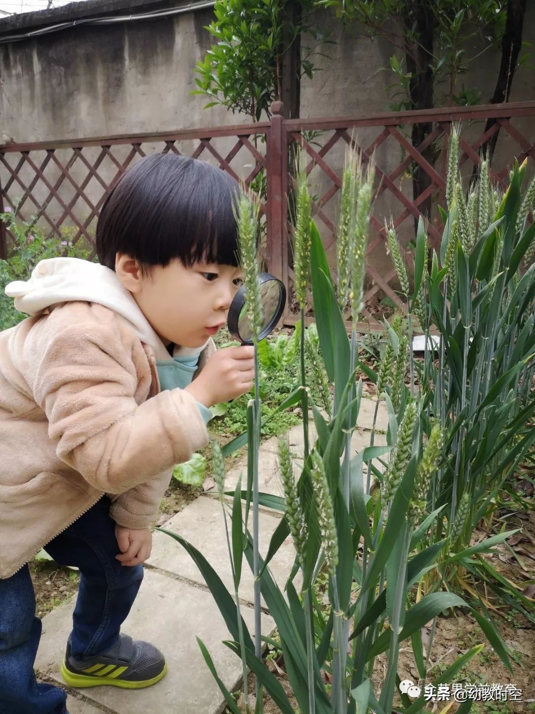 幼稚园思维训练,仪式感满满的幼儿园户外