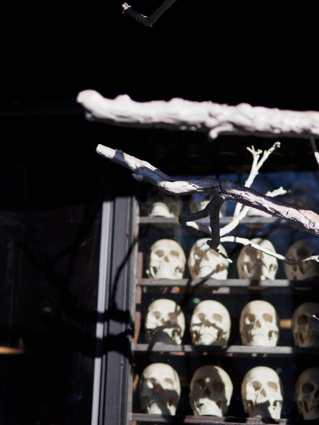 行摄北京798丨用奥林巴斯寻找光和影