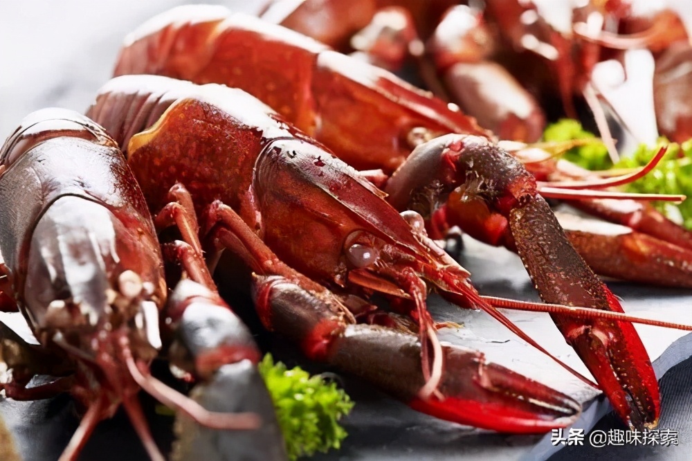 能长到四斤的淡水龙虾,澳洲龙虾可进入中国吗