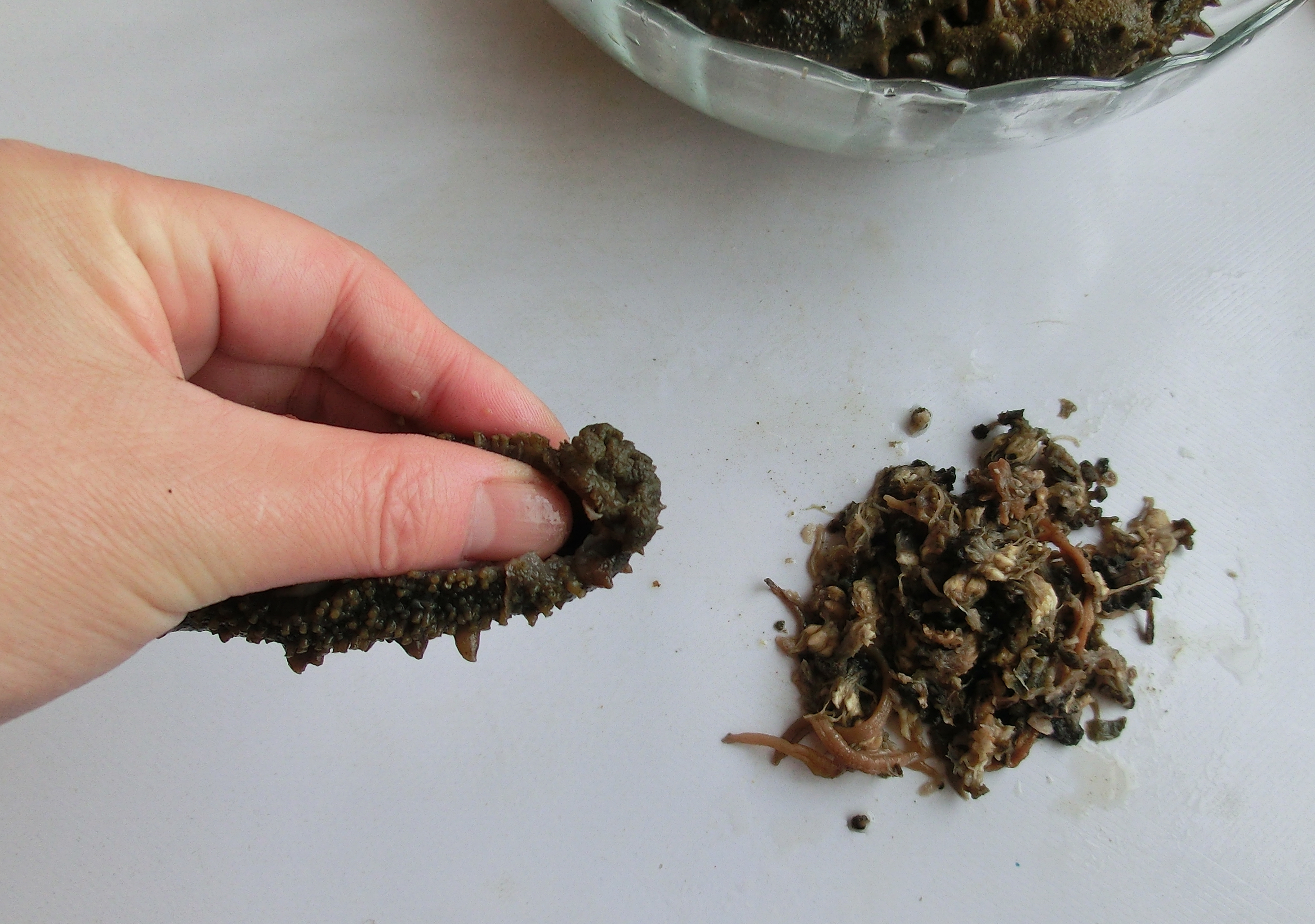 海参的正确泡发方法和做法,海参怎么才能不难吃