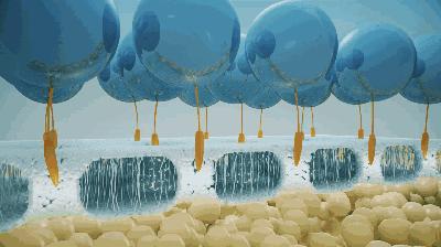 bbc沙棘面霜 (老爸评测bbc面霜)