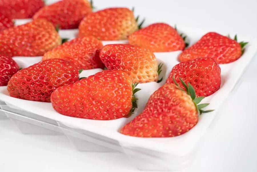 一下子吃了30颗草莓,吃了半斤草莓