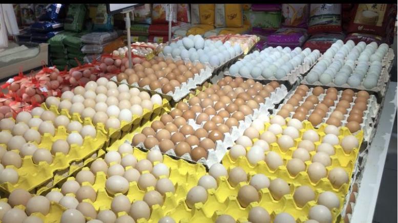 红壳鸡蛋和白壳鸡有啥区别,鸡蛋是绿壳红壳还是白壳好