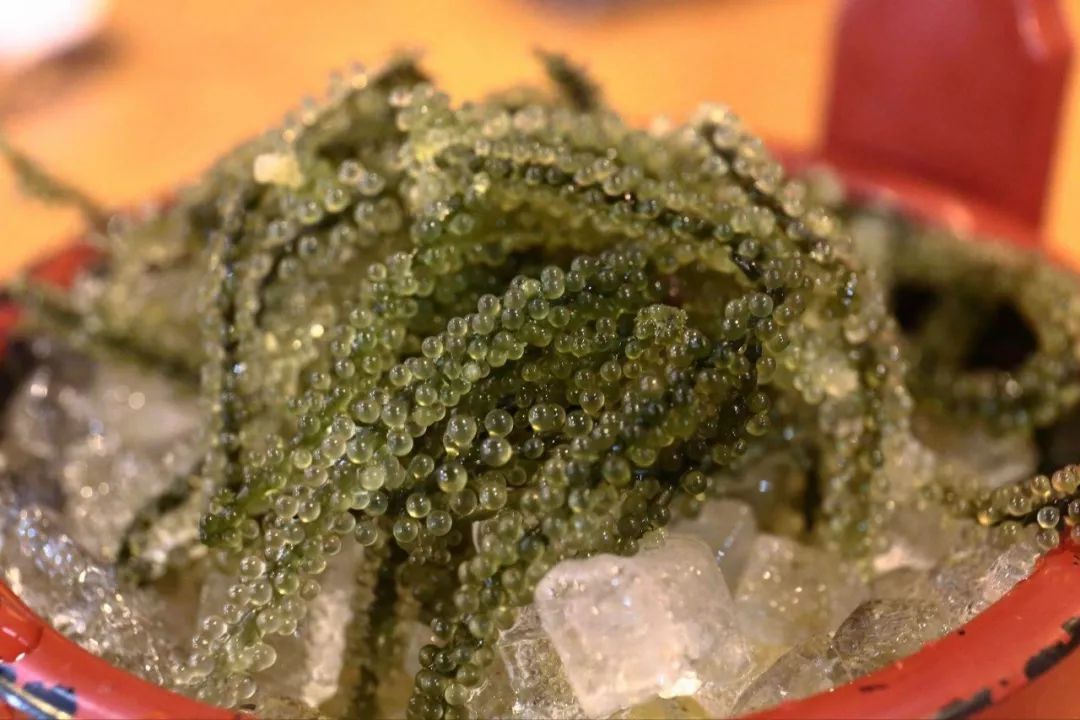 出走冲绳|有一种海水的蓝，叫做果冻蓝