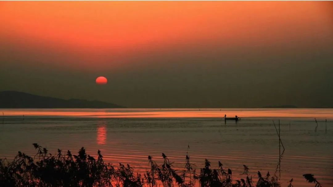 苏州西山十大知名农家乐有哪些,带你走一走苏州的太湖边农家乐