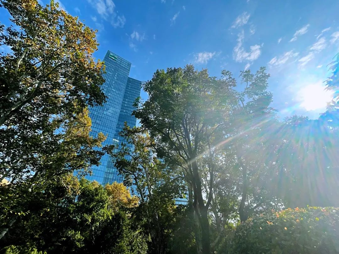 深秋回暖，安排！沪上各区的深秋美景，你准备好打卡了吗？