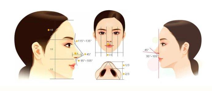 鼻梁高但不精致如何调整,塌鼻梁如何拯救侧颜