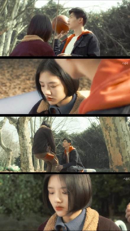 闈掓槬鐣欎綇灏忚,闈掓槬鏂囧涔︾睄鍚嶅彞