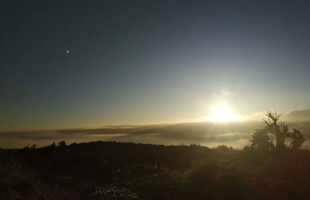 pr公关需要具备的专业知识技能,pr公关职场指南