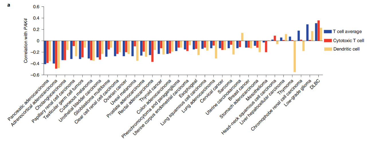 化疗联合pd-1免疫治疗,肿瘤免疫与代谢疗法