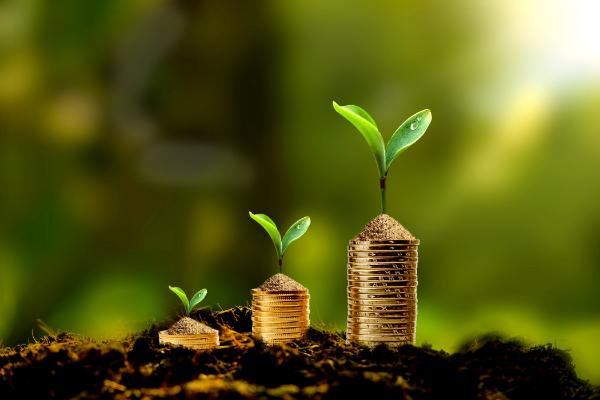 闲钱如何理财收益最大化,手上有点闲钱怎么利用收益最大化