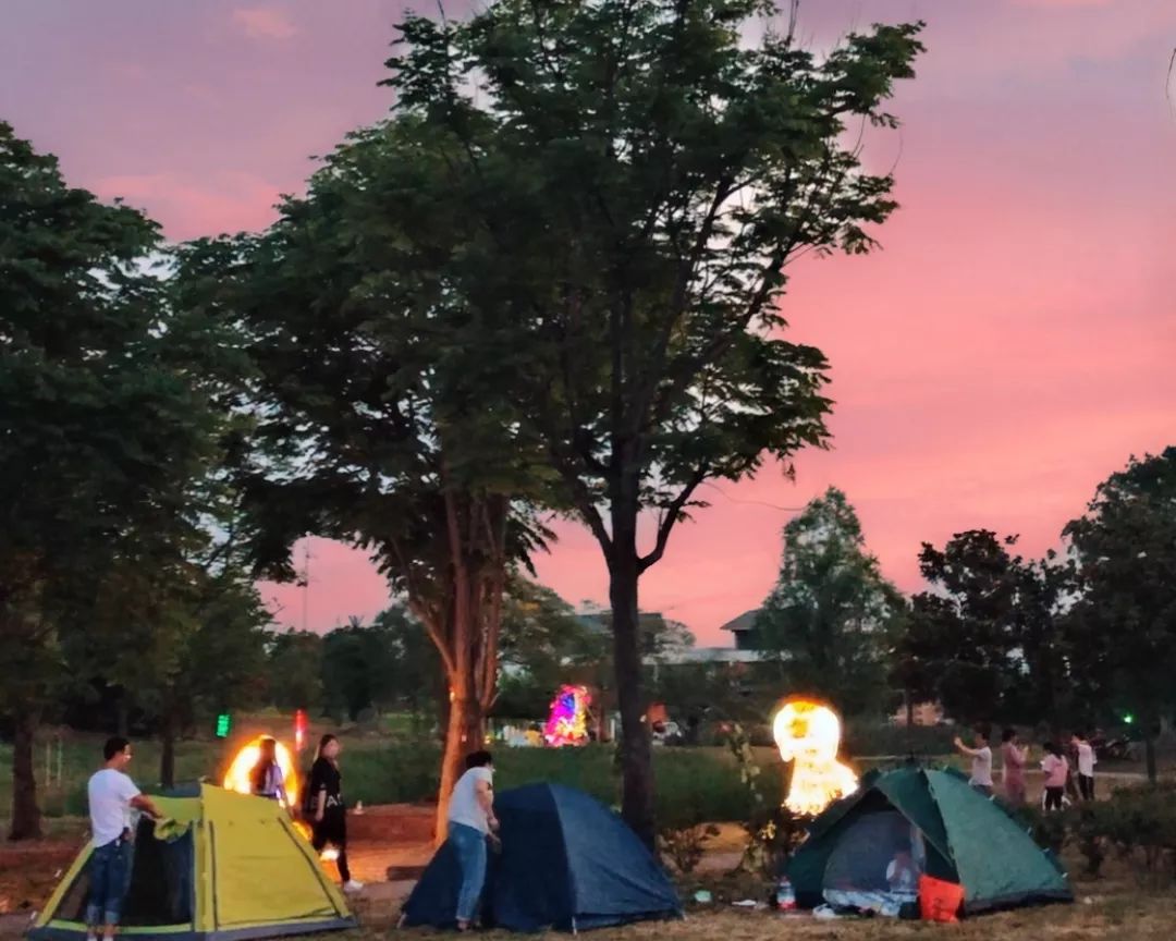 紫薇园宿州露营音乐节,中华紫薇园露营