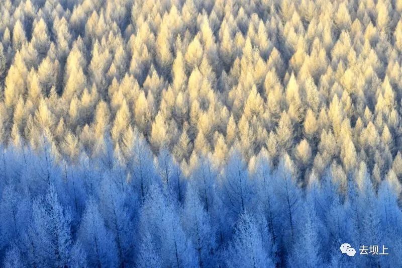 坝上摄影攻略,坝上夏季摄影