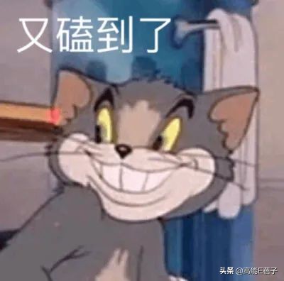 这些有趣的星爸星妈，比明星本人还好笑