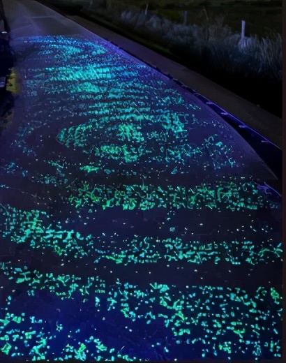 撩人无锡话,无锡锡城花路