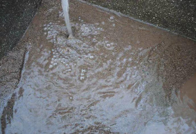 这3种多肉最适合新手,多肉扦插用什么方法最好