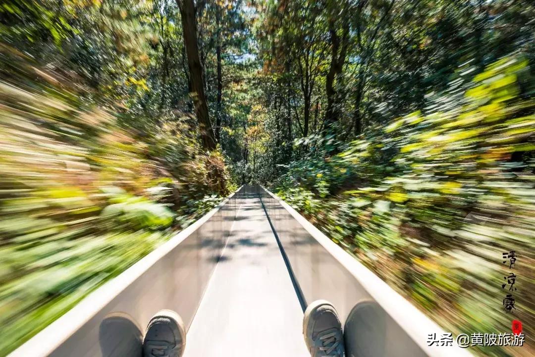 清凉寨樱花最佳赏花时间,清凉寨中华樱花