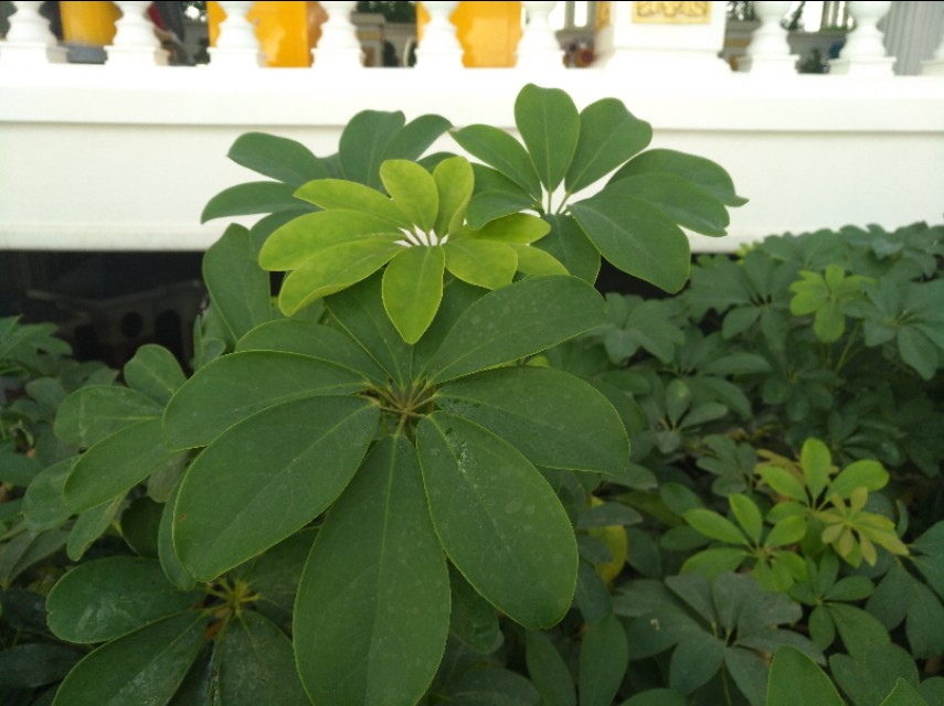 石家庄空中花园居住现状,石家庄空中花园的楼房为什么便宜