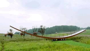 双流哪里可以赏花看飞机,双流附近赏花攻略路线