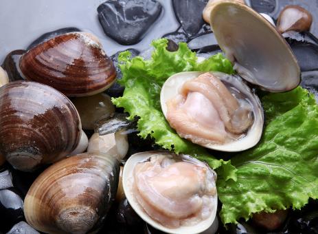 生取蛤肉的方法有哪些,去壳文蛤的正确方法