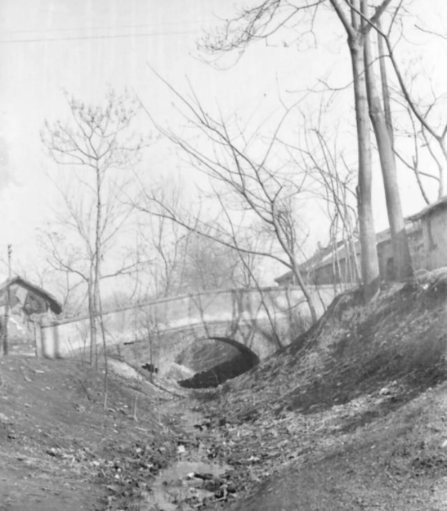 泰州人为何要错把洧字读成you?原来与《诗经》有关