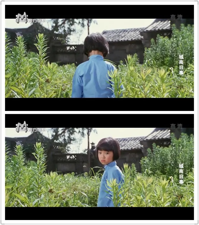 蹇冪伒涔嬬獥璞嗙摚,蹇冪伒涔嬬獥璞嗙摚鐢靛奖