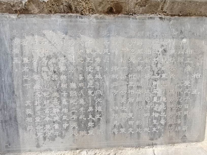 卦山的古柏特点100字,卦山古柏群