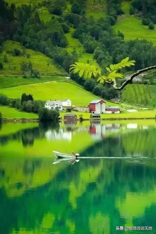 诗词大会寻味飞花令,诗词大会飞花令相思