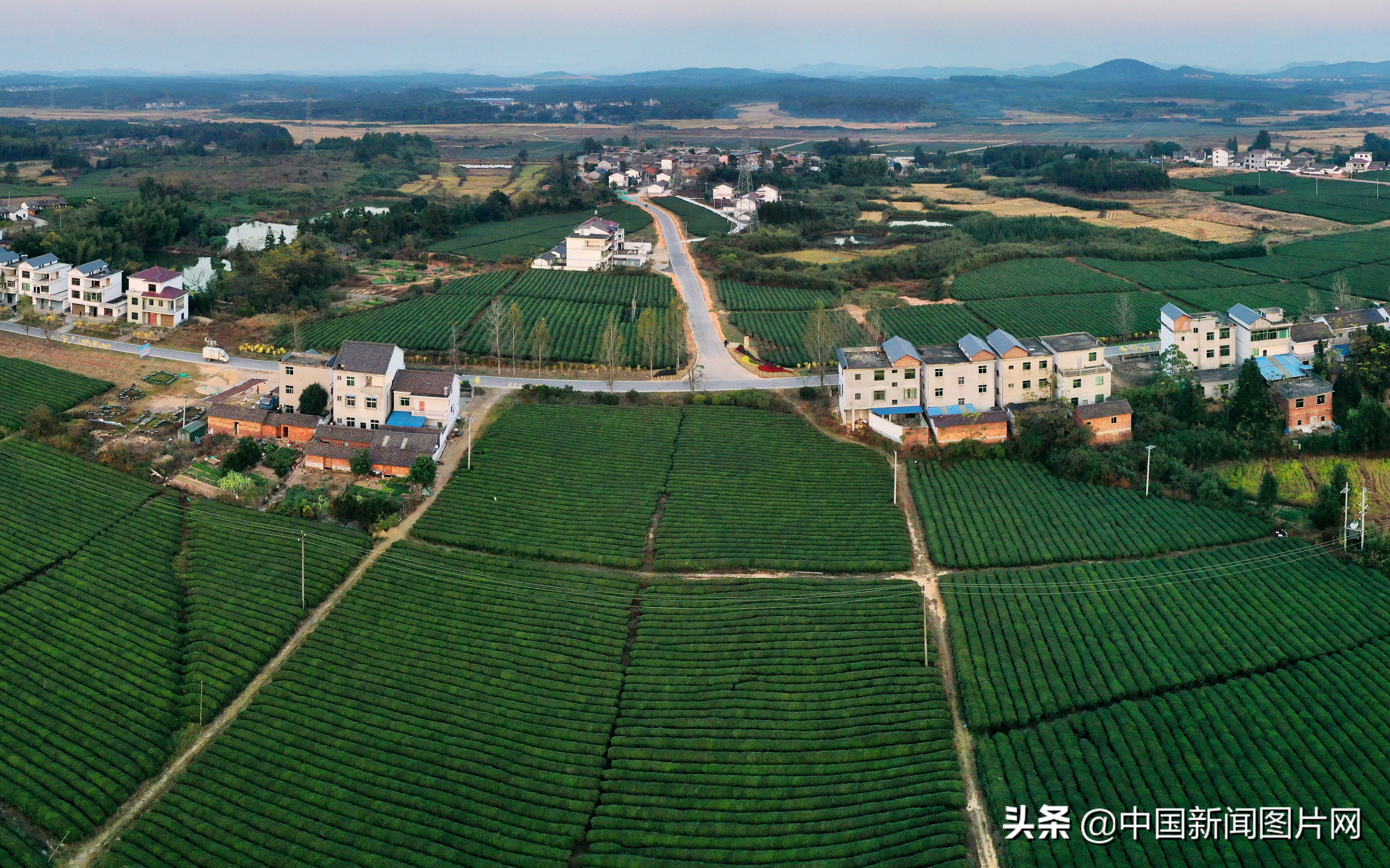 江西抚州幸福家园,江西金溪生态乡村美如画组图