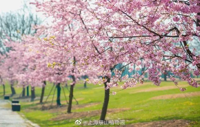 所有女生!各大品牌的春季眼影盘来咯