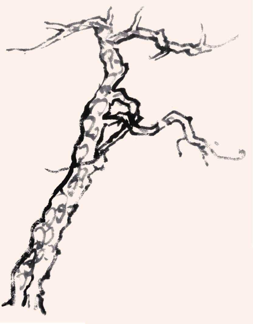 国画画树时的使转用笔方法,国画教程画树入门