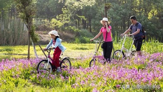 在自己县城工资低怎么办,在城市里工资少怎么生活