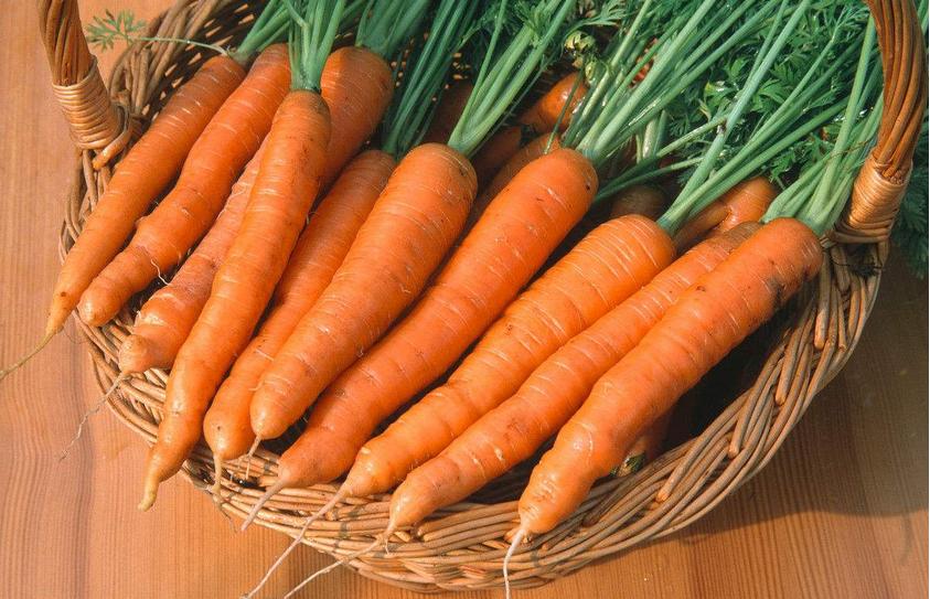 母乳快没有了喝什么追奶汤,母乳不足喝什么汤下奶