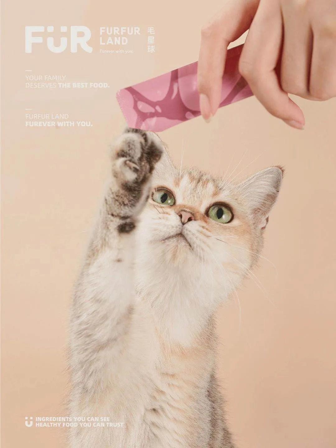 从铲屎官到创业者,他带领FURFURLAND销售额增长15倍