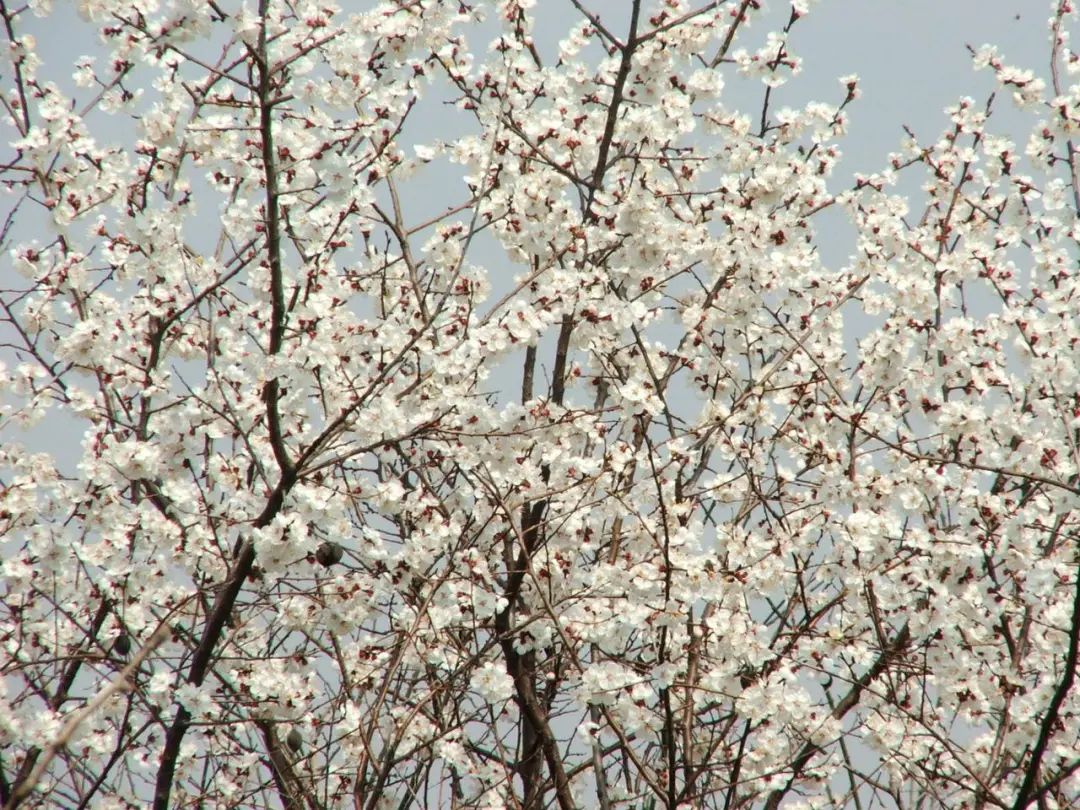 晋城司徒小镇异域风情,晋城皇城相府和司徒小镇