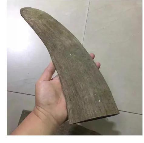 披毛犀价格一克多少,披毛犀什么料最贵