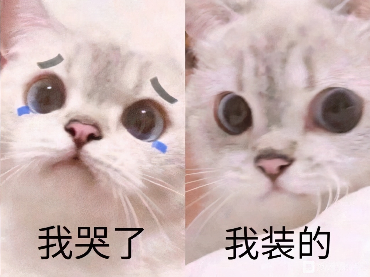 剑网3情缘语录,剑网三情缘语录