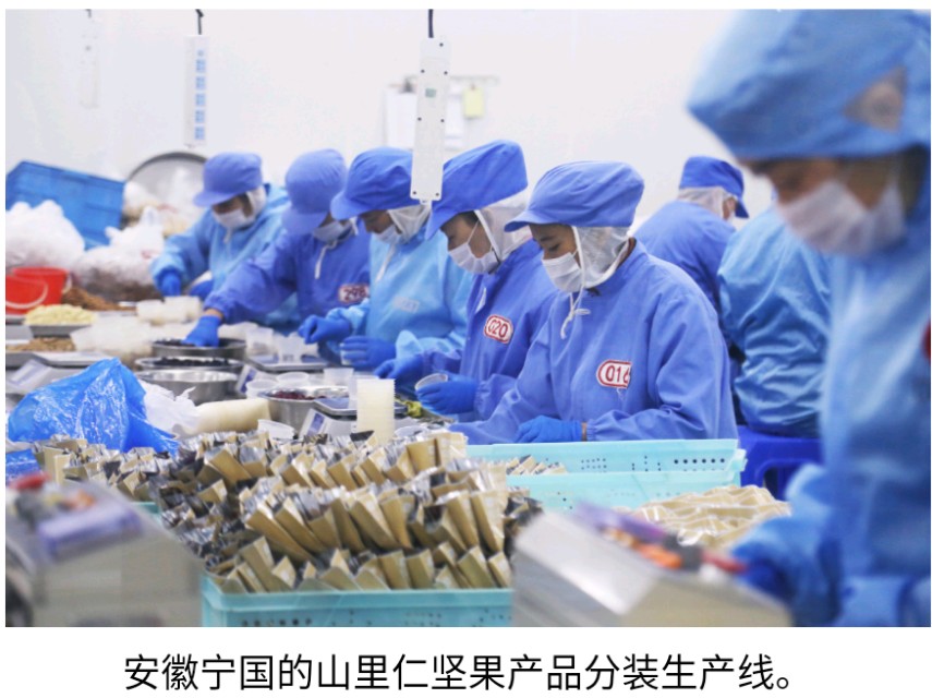 跨越天目山的“握手”：云集“超品”计划赋能山里仁品牌化