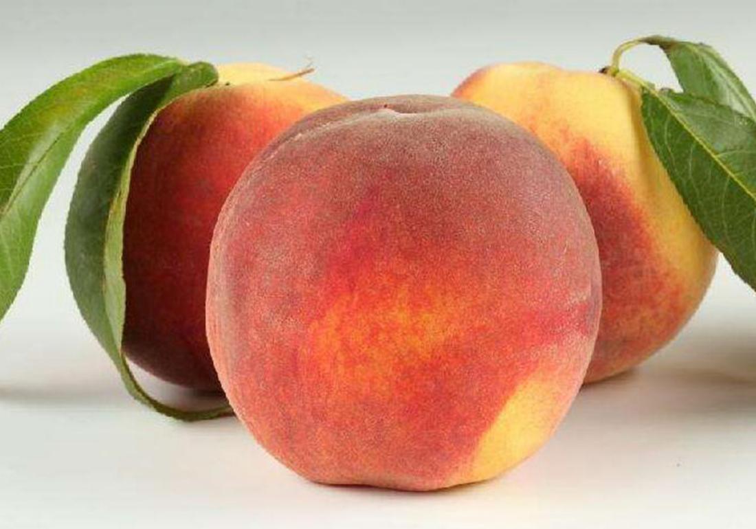 三年的桃树如何嫁接换其它品种,盆栽桃树如何修剪才能快速结桃