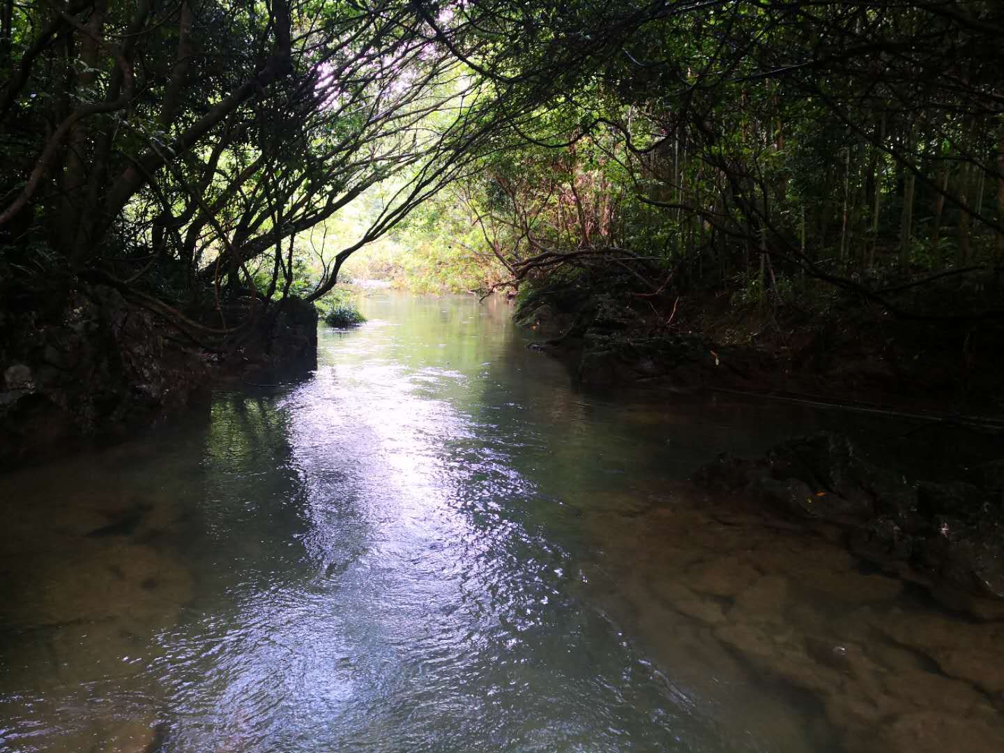 荔波小七孔的水是哪里来的,贵州荔波大七孔一天时间够吗
