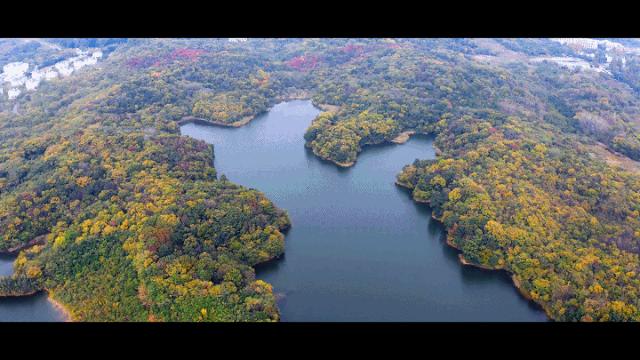 南京小众景点,南京小众花园秘境