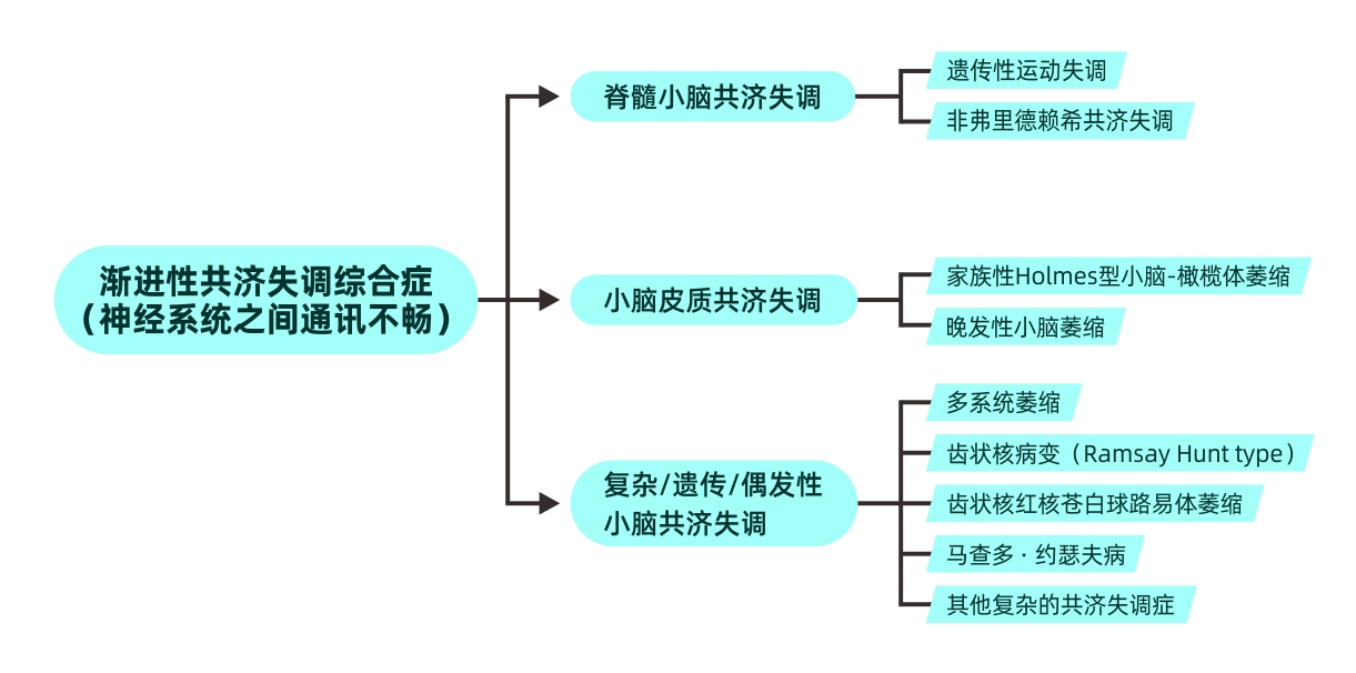 神经科学与神经退行性疾病,神经退行性疾病科研