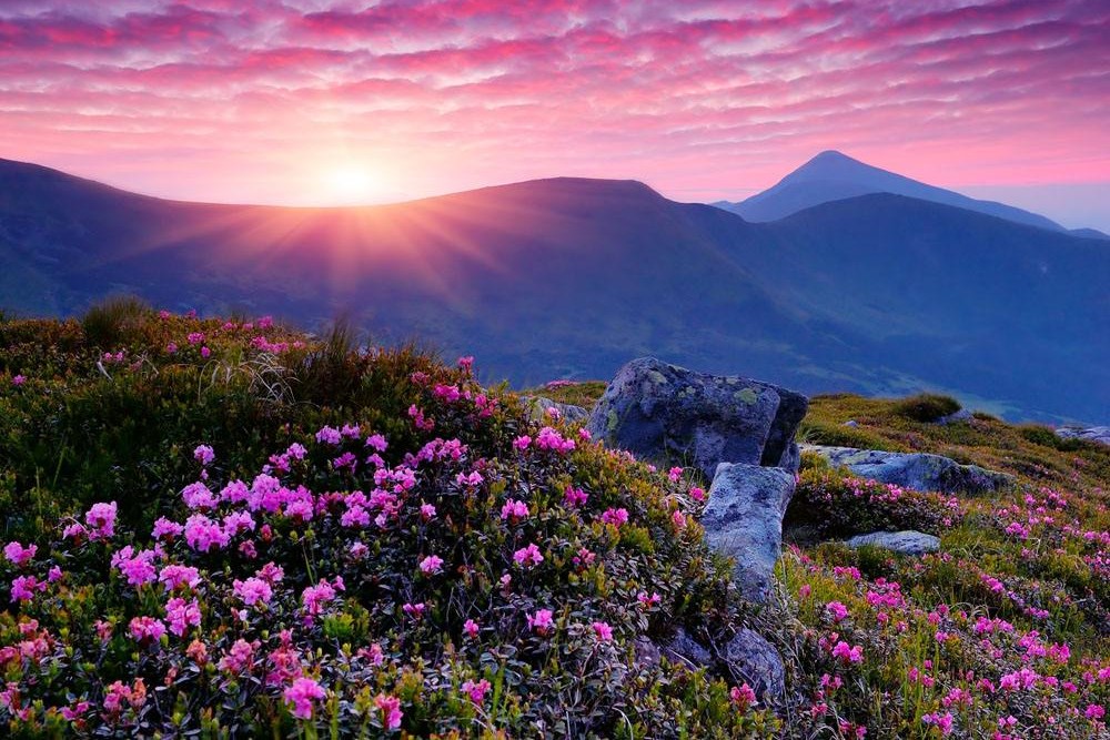 成都假期攻略之雅安天全县喇叭河风景区