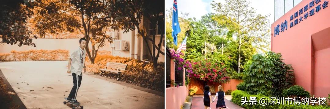 深圳南山这所宝藏国际学校,带你去打卡