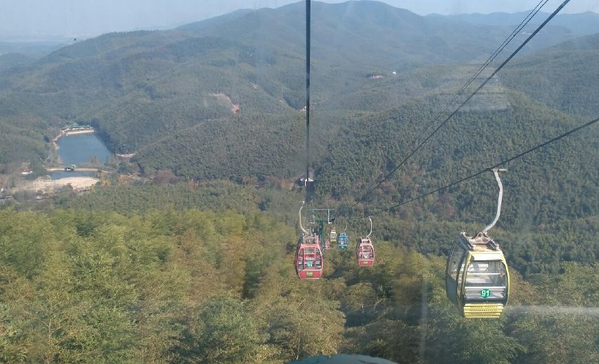 风景秀丽的宜兴竹海,漫步竹林呼吸大自然的清新