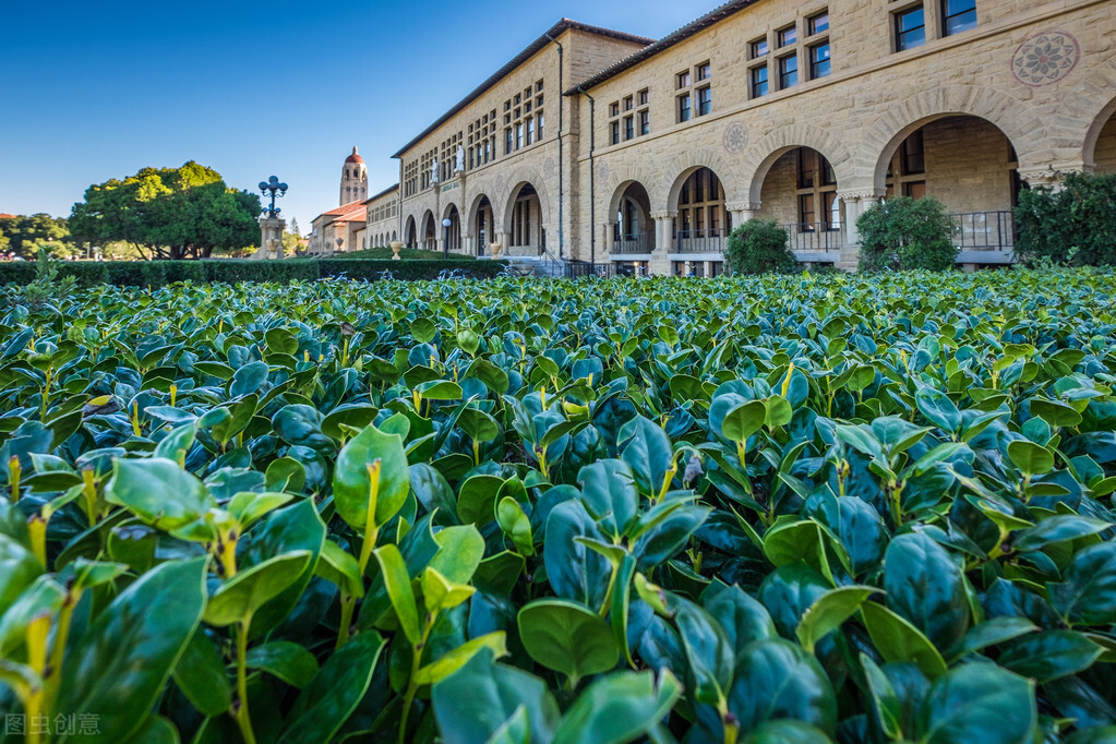 全球最好的商科大学排名,悉尼最好的商科大学