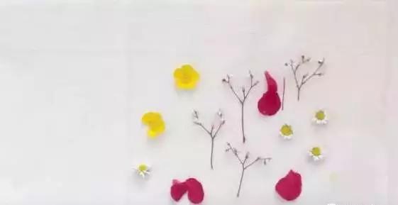 10个高颜值干花教程美爆了附教程,干花制作5朵花教程