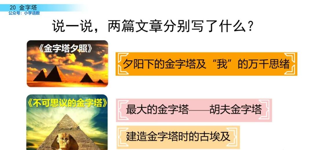 部编版五年级下册语文金字塔教案,语文书五年级下册第20课课后练习